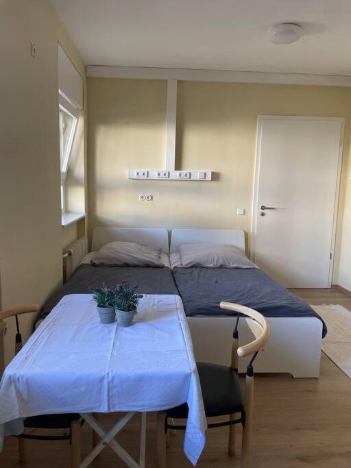 Einzimmerwohnung + Dusche Und Wc Berlin Eksteriør bilde